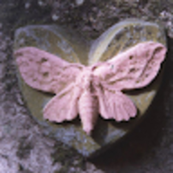 Meet your Posher, Frangie - Picture 1 of 1